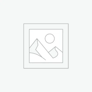 Digital Solutions for Everyday Issues